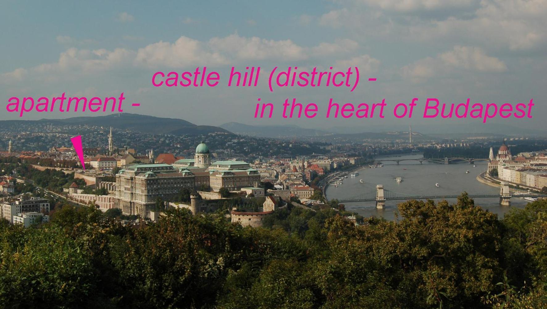 Buda Castle Apartments Budapest Eksteriør billede