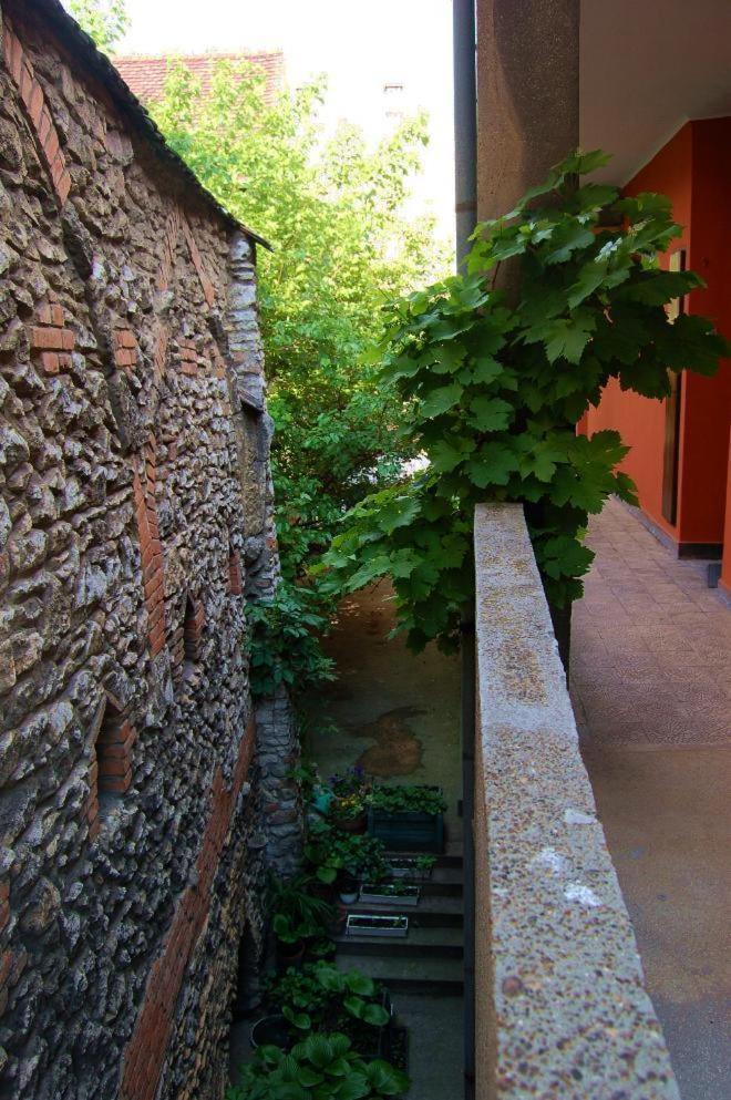 Buda Castle Apartments Budapest Eksteriør billede