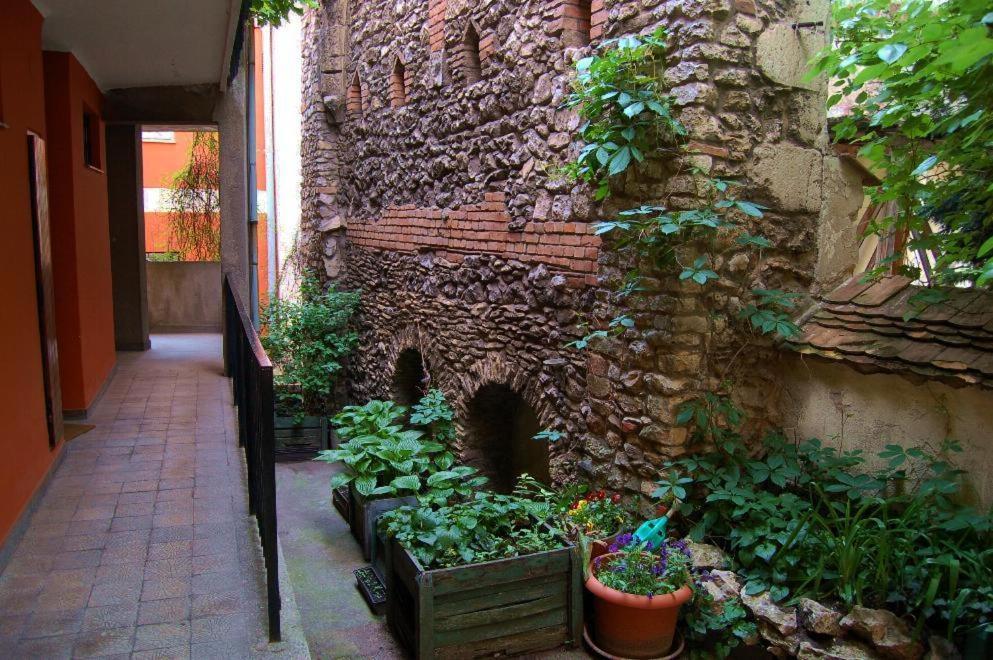 Buda Castle Apartments Budapest Eksteriør billede