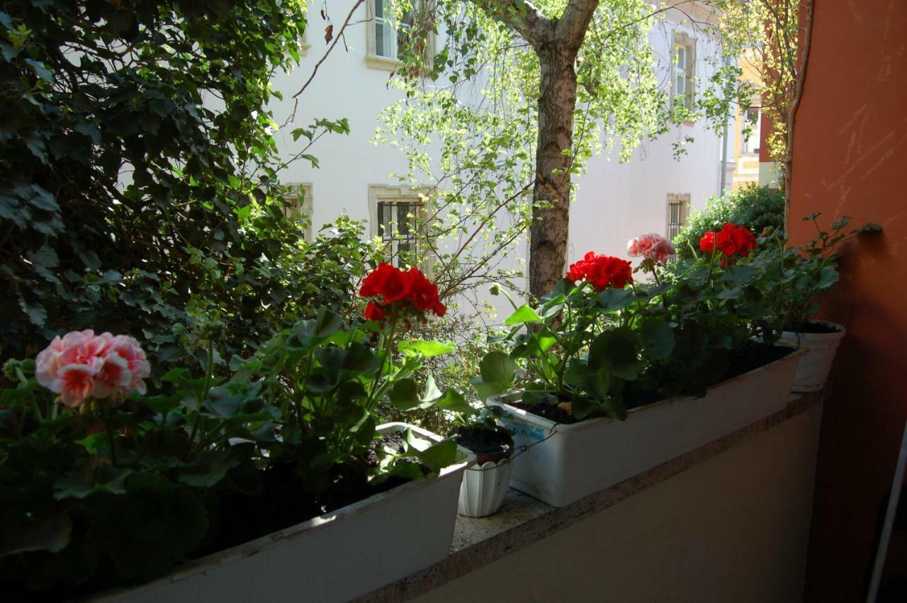 Buda Castle Apartments Budapest Eksteriør billede